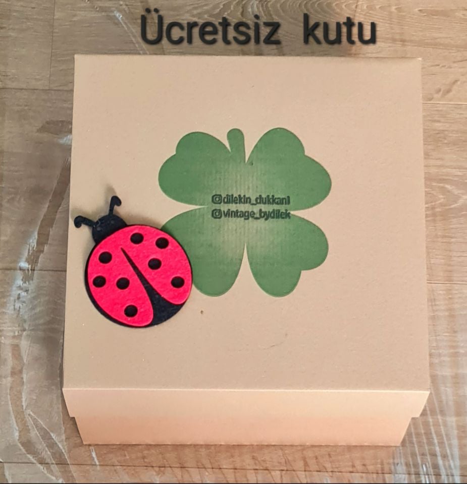 Astrid  Gül Kurusu Pembe Renk Derby Şapka 32 cm