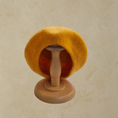 Amata Sarı  Renk Ressam Bere Yetişkin boy