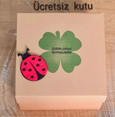 Amata Petrol Yeşil  Renk Ressam Bere Yetişkin Boy