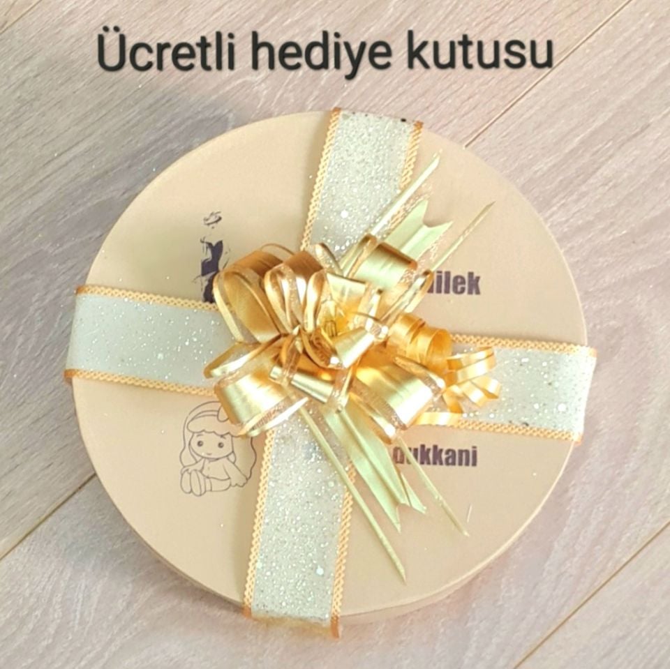 Ann Açık Mavi Renk Vualet 35 cm