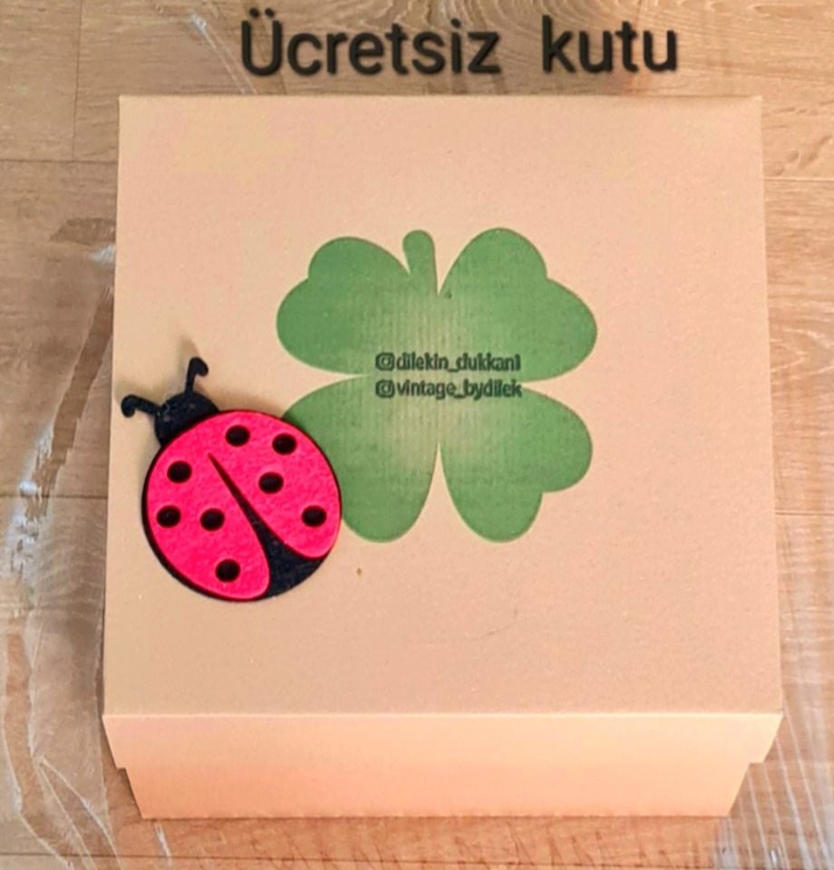 Patrice Bordo Renk Vualet Şapka 25 cm