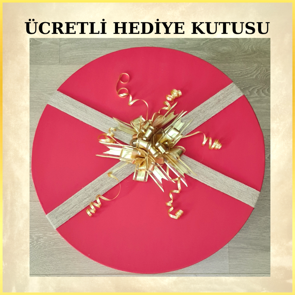 Stephane Kırmızı Renk Saten  Vualet Kep 22 cm