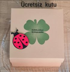 Karina Siyah Renk Fiyonklu Vualet Şapka