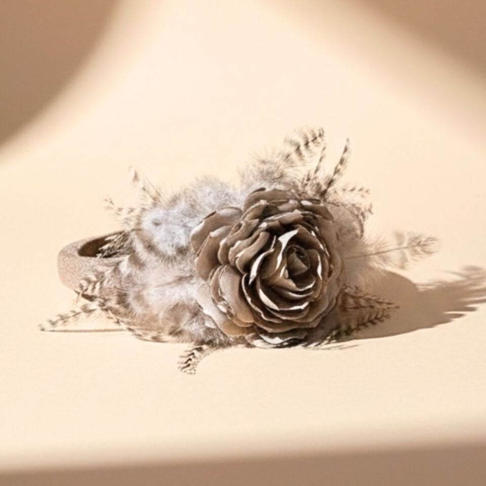 Amanda Capicino Renk Taç