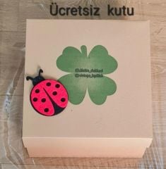 Fiyonk Model Pudra Pembe Dantel Tasarım Çanta